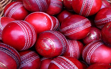 cricket balls for cancer cricket, proteas, wanderers, England, pinkdrive, glen mcgrath, cancer 
awareness, world cancer day, jane mcgrath