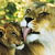 Cup visitors enchanted by South Africa
