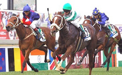 Horse racing at Turffontein challenge, dettori, horse, jockey, khan, kinane, marcus, marwing, moore, neisius, oliver, phumelela, racing, roberts, shea, soumillon, africa, south, strydom, surender, turffontein Horse racing at Turffontein challenge, dettori, horse, jockey, khan, kinane, marcus, marwing, moore, neisius, oliver, phumelela, racing, roberts, shea, soumillon, africa, south, strydom, surender, turffontein
