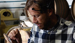 neurowine peter walser wine, neuroscience, neurowine, neural sense, blankbottle, south africa, peter walser