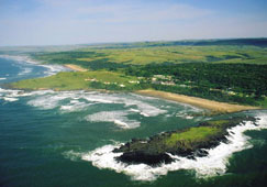 The Wild Coast The Wild Coast